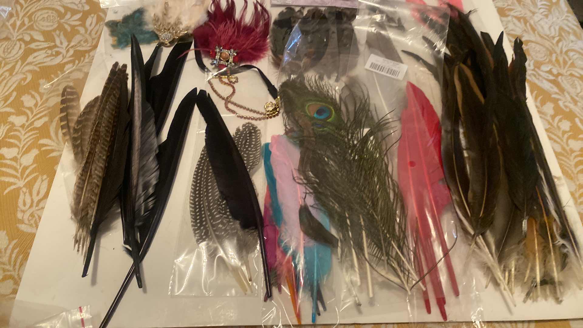 Photo 1 of FEATHERS ASSORTMENT & DRIED FLORAL