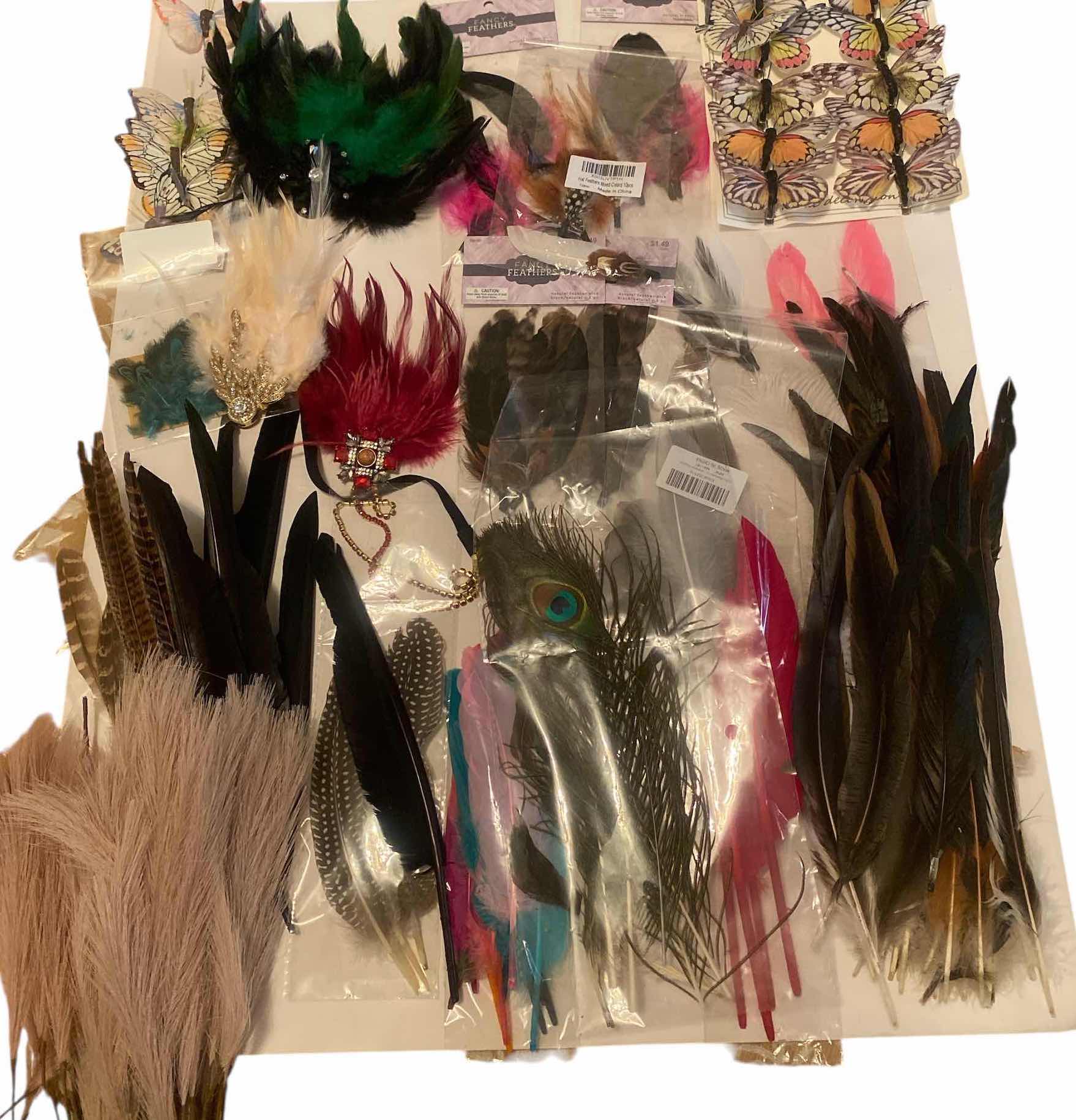 Photo 1 of FEATHERS ASSORTMENT & DRIED FLORAL