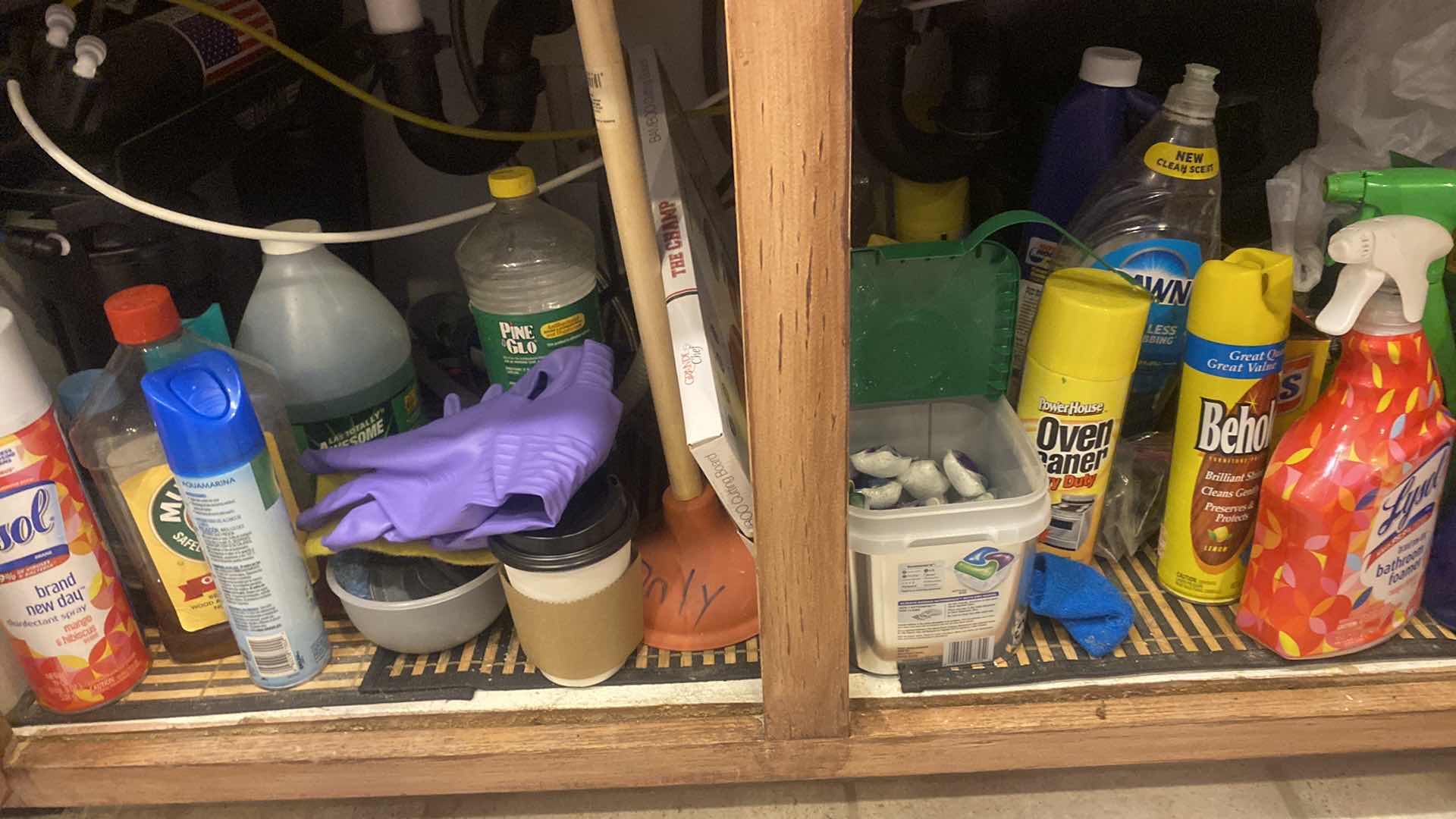 Photo 1 of CONTENTS KITCHEN CABINET - A CLEANING SUPPLIES UNDER SINK