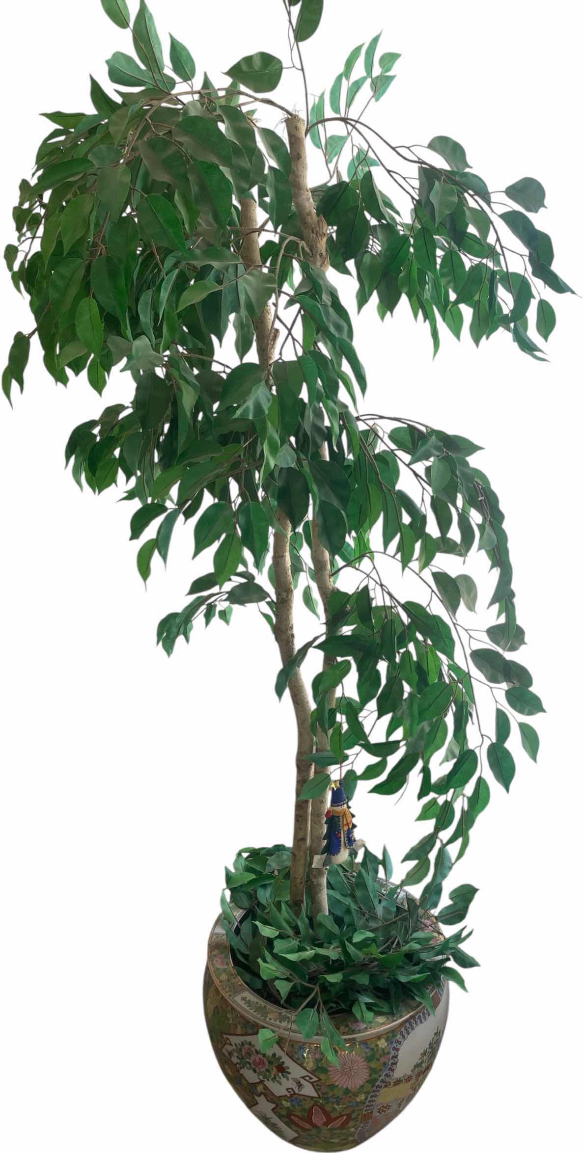 Photo 1 of FAUX FICUS TREE IN FISHBOWL POT H6’