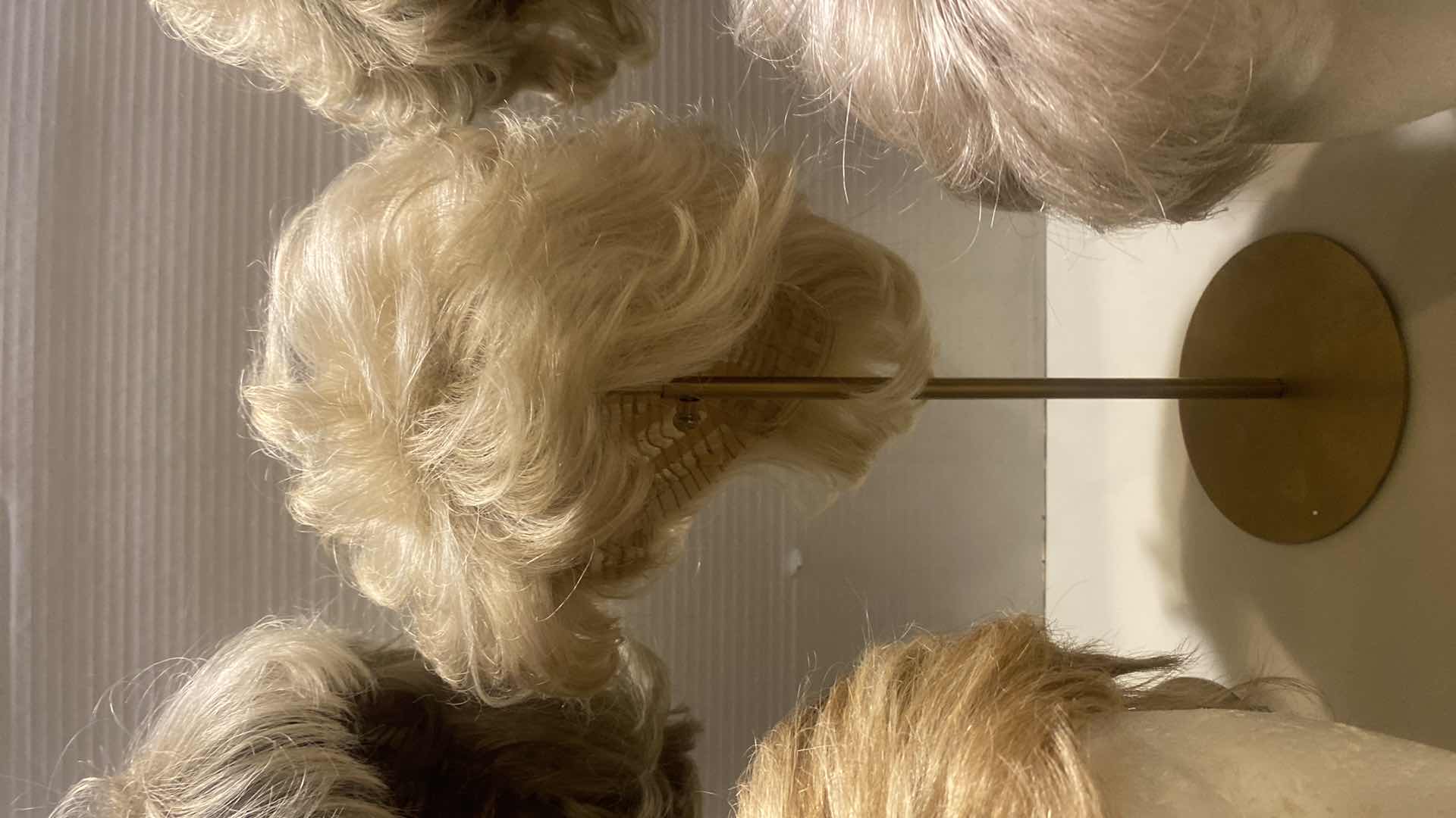 Photo 1 of 5 - WIGS