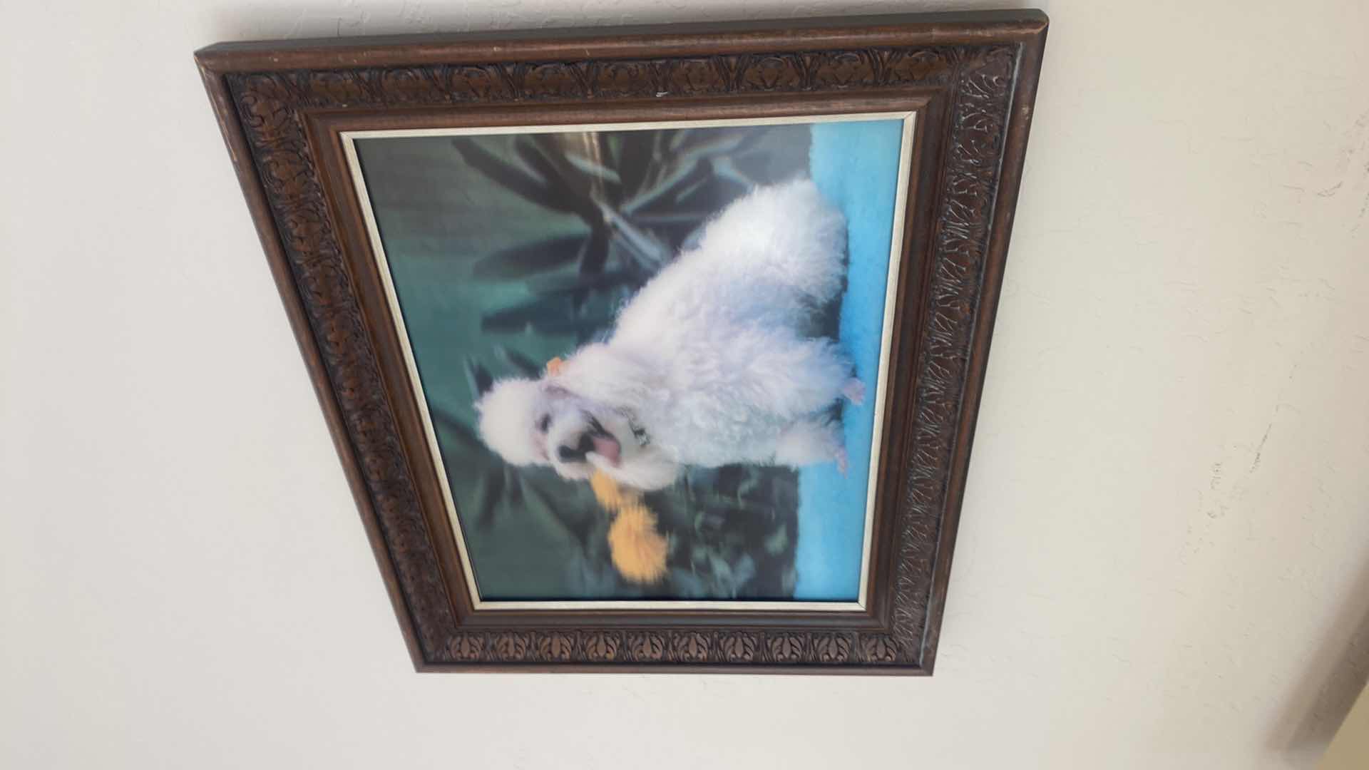 Photo 1 of WOOD FRAMED 3D POODLE PRINT ARTWORK 20” x 16”