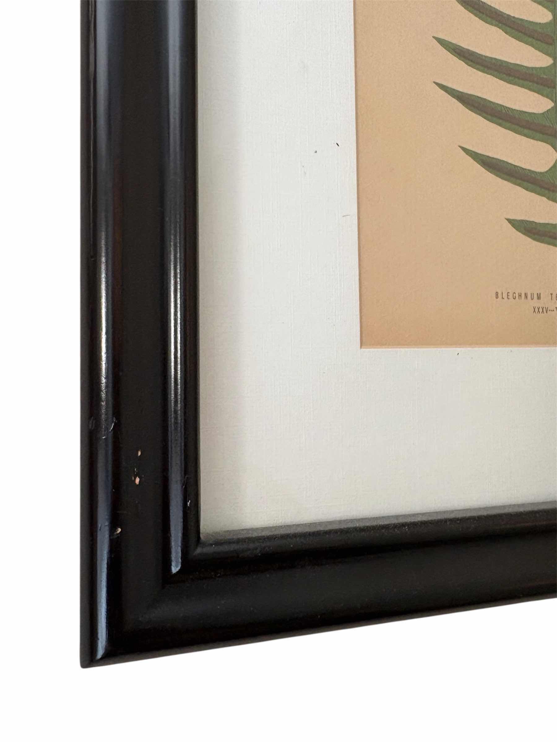 Photo 1 of (2)PCS BOTANICAL FRAMED ARTWORK 17”X14”