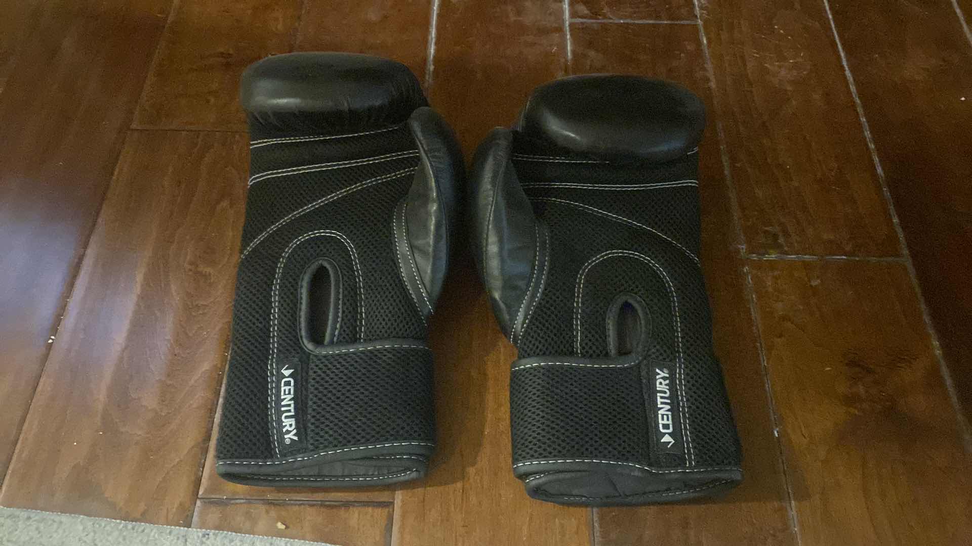 Photo 1 of KICK BOXING GLOVES