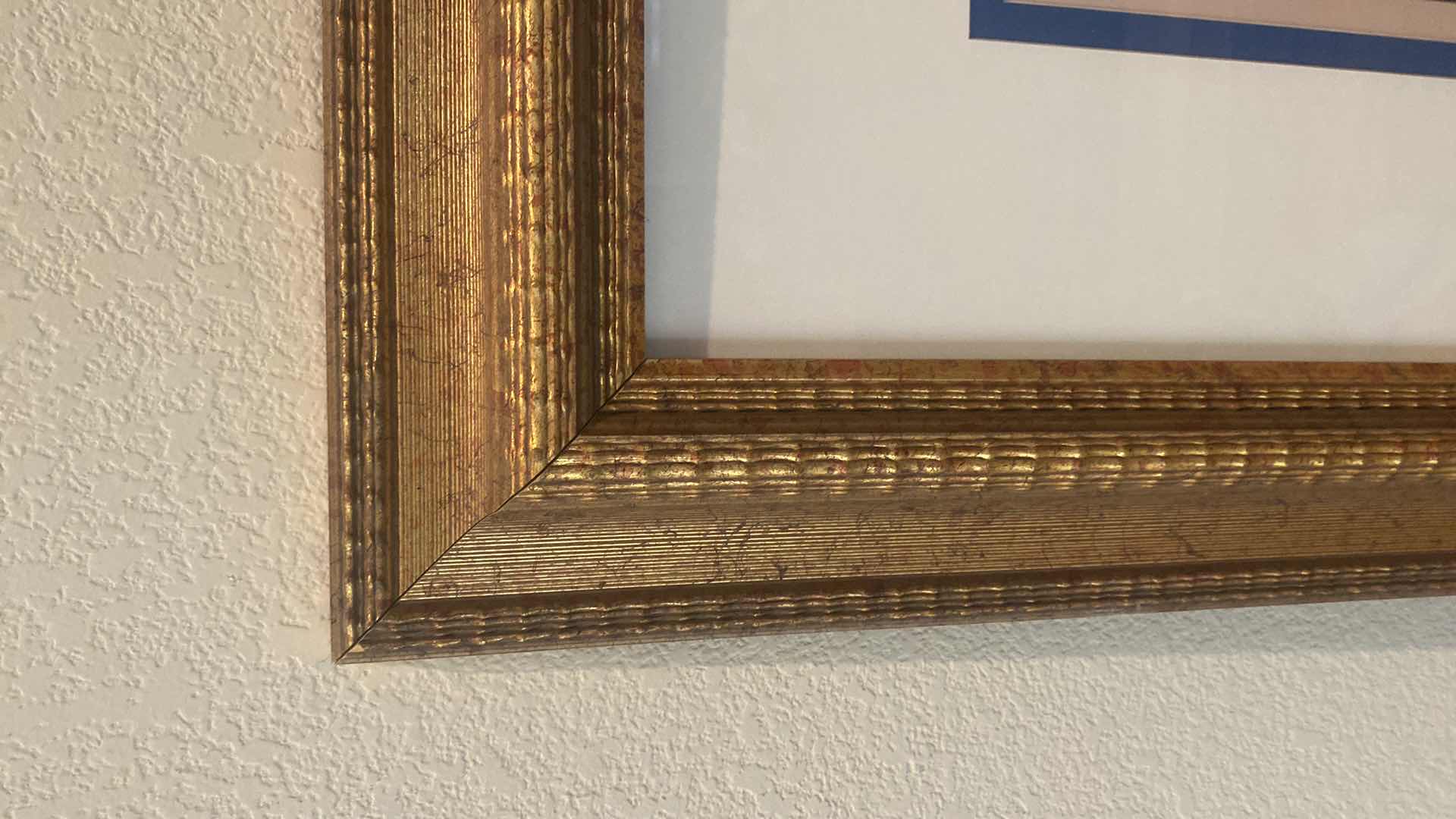 Photo 1 of GOLD FRAMED GARDEN PRINT ARTWORK 56” X 40”