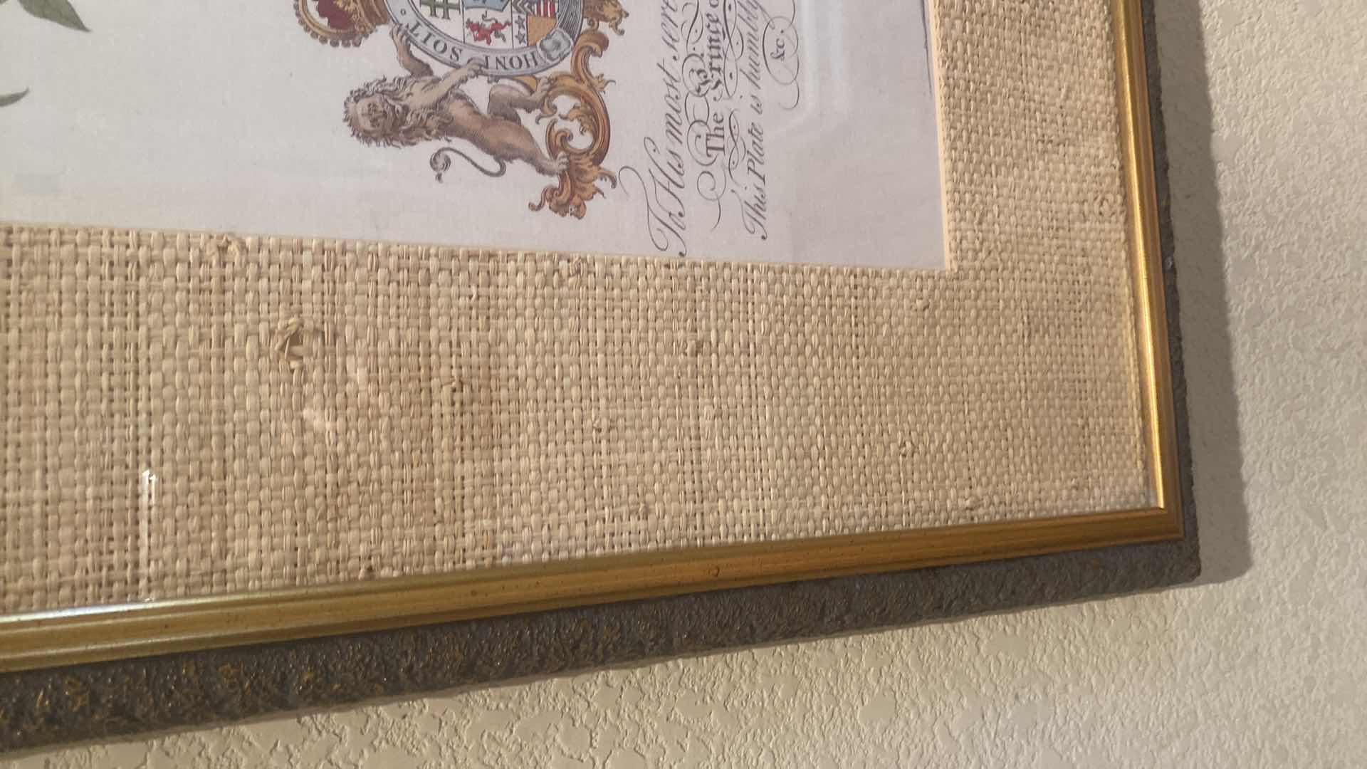 Photo 1 of 2-FRAMED BOTANICAL PRINTS OF PAPAYA TREE AND PALM TREE ARTWORK 21“ X 28“