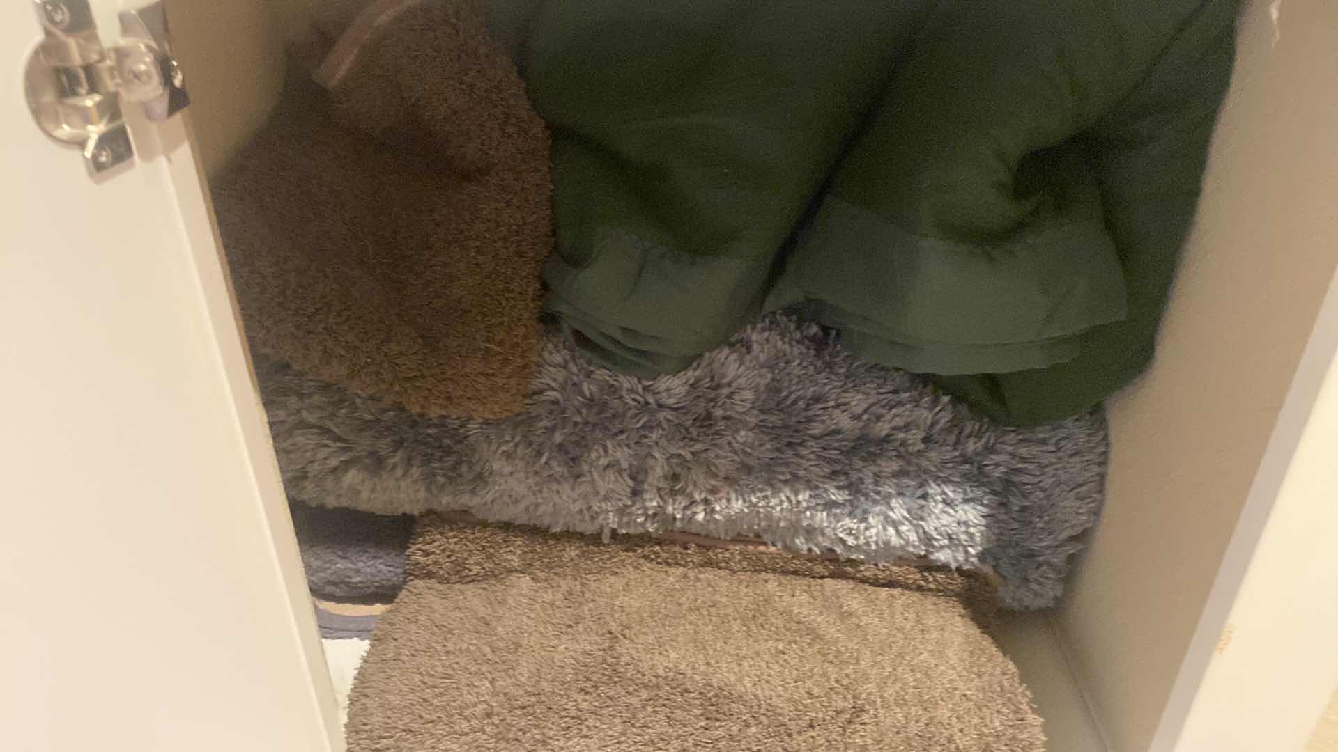 Photo 1 of CONTENTS OF LINEN CABINET - BLANKETS AND RUGS