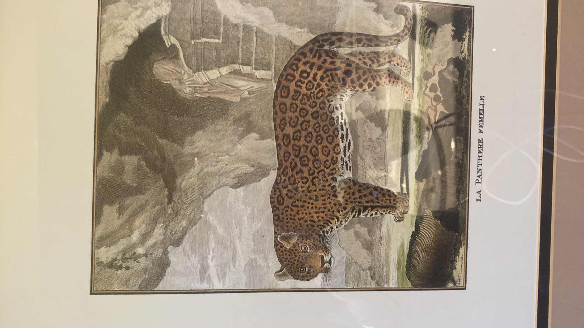 Photo 1 of GOLD & BROWN FRAMED PANTHER PRINT ARTWORK 24“ X 26“