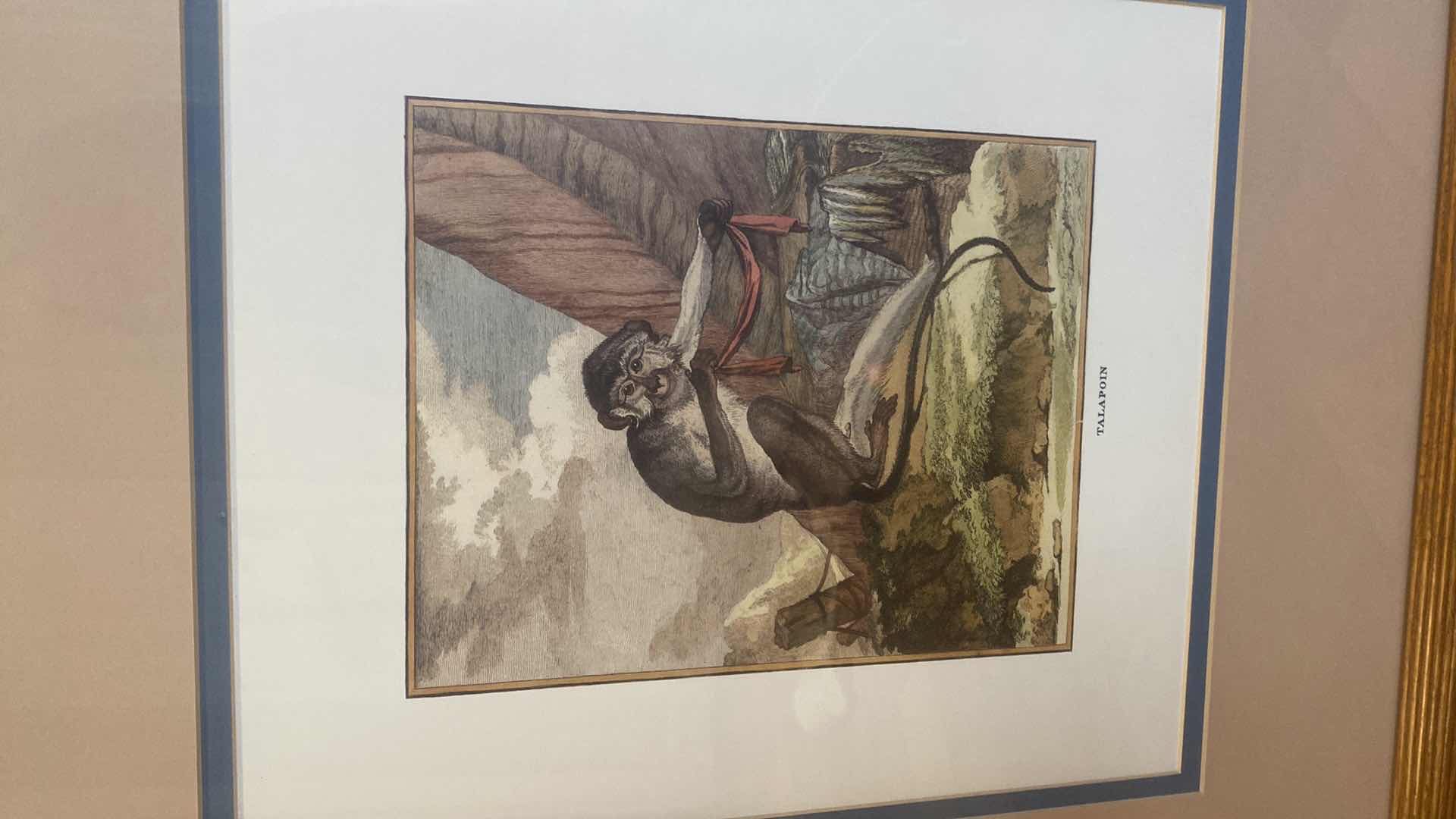 Photo 1 of 2-WOOD FRAMED PRIMATE PRINTS ARTWORK 22” X 24 1/2”