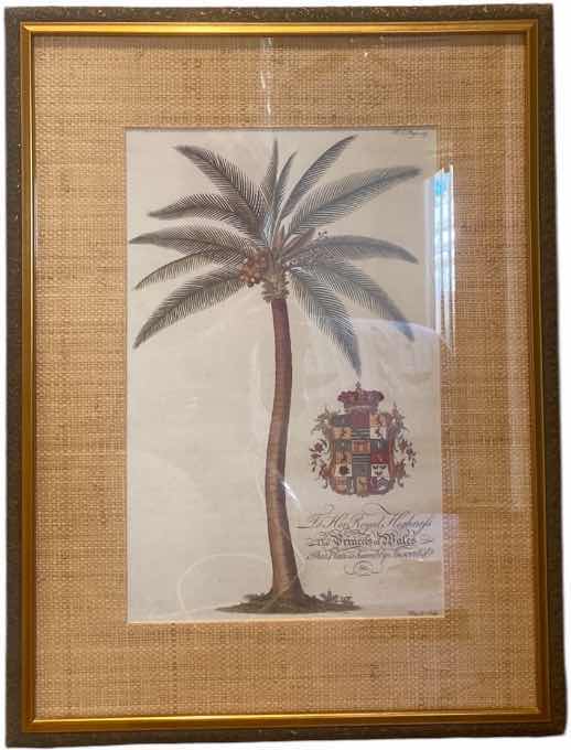 Photo 1 of FRAMED PALM TREE PRINT ARTWORK 21“ X 28 1/2“