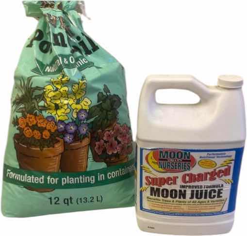 Photo 1 of POTTING SOIL AND MOON VALLEY, NURSERIES MOON JUICE