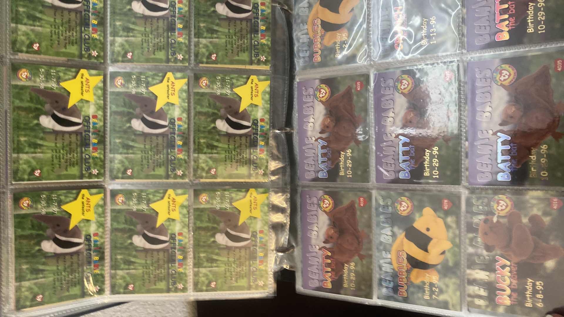 Photo 1 of BEANIE BABIES COLLECTOR CARDS IN BINDER