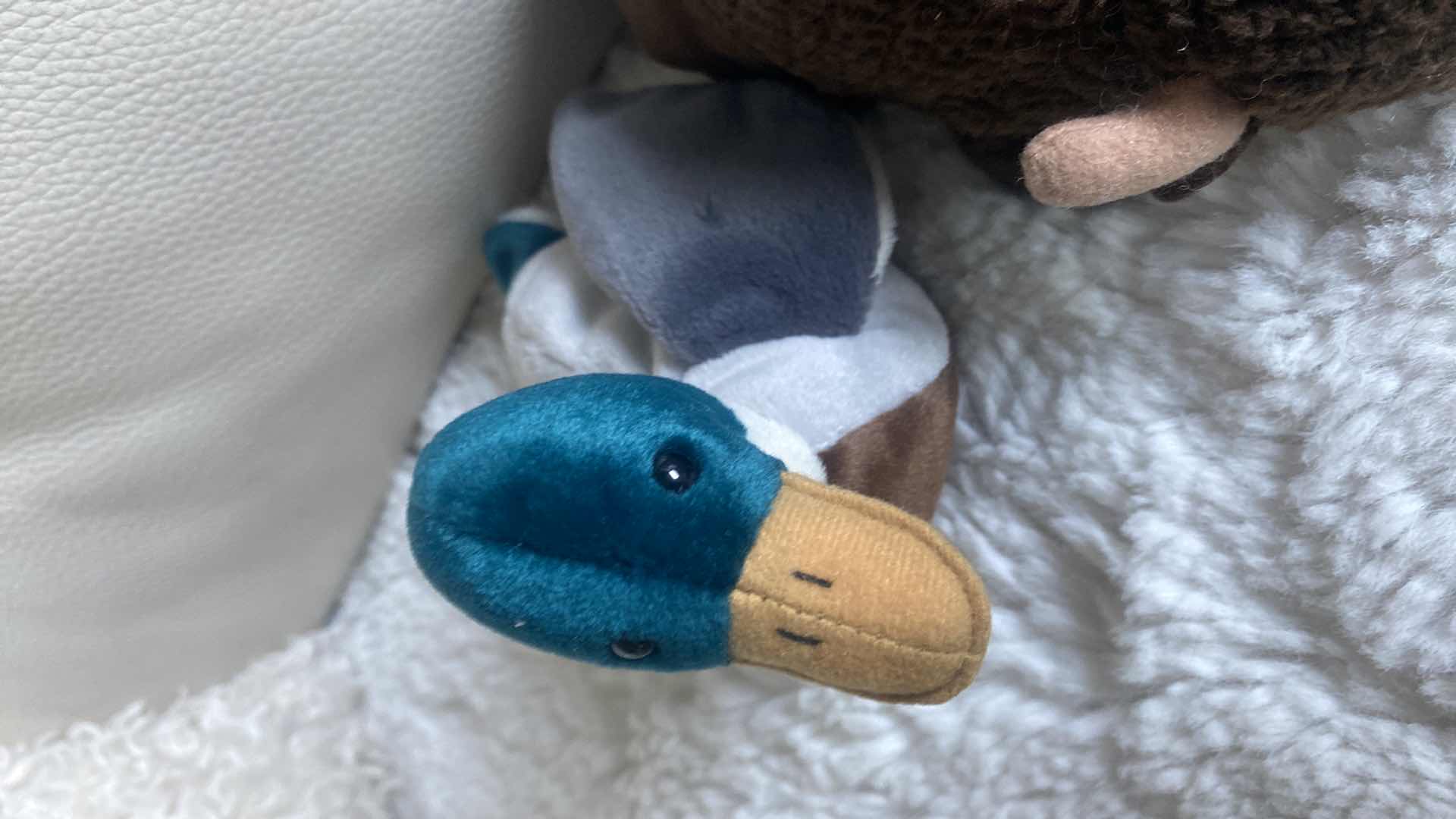Photo 1 of 7 BEANIE BABIES