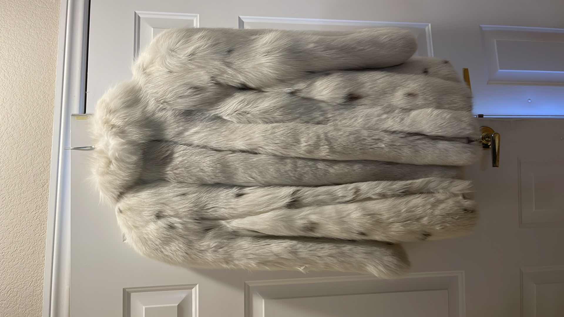 Photo 4 of SAGA FOX FUR COAT APPROX VALUE $700