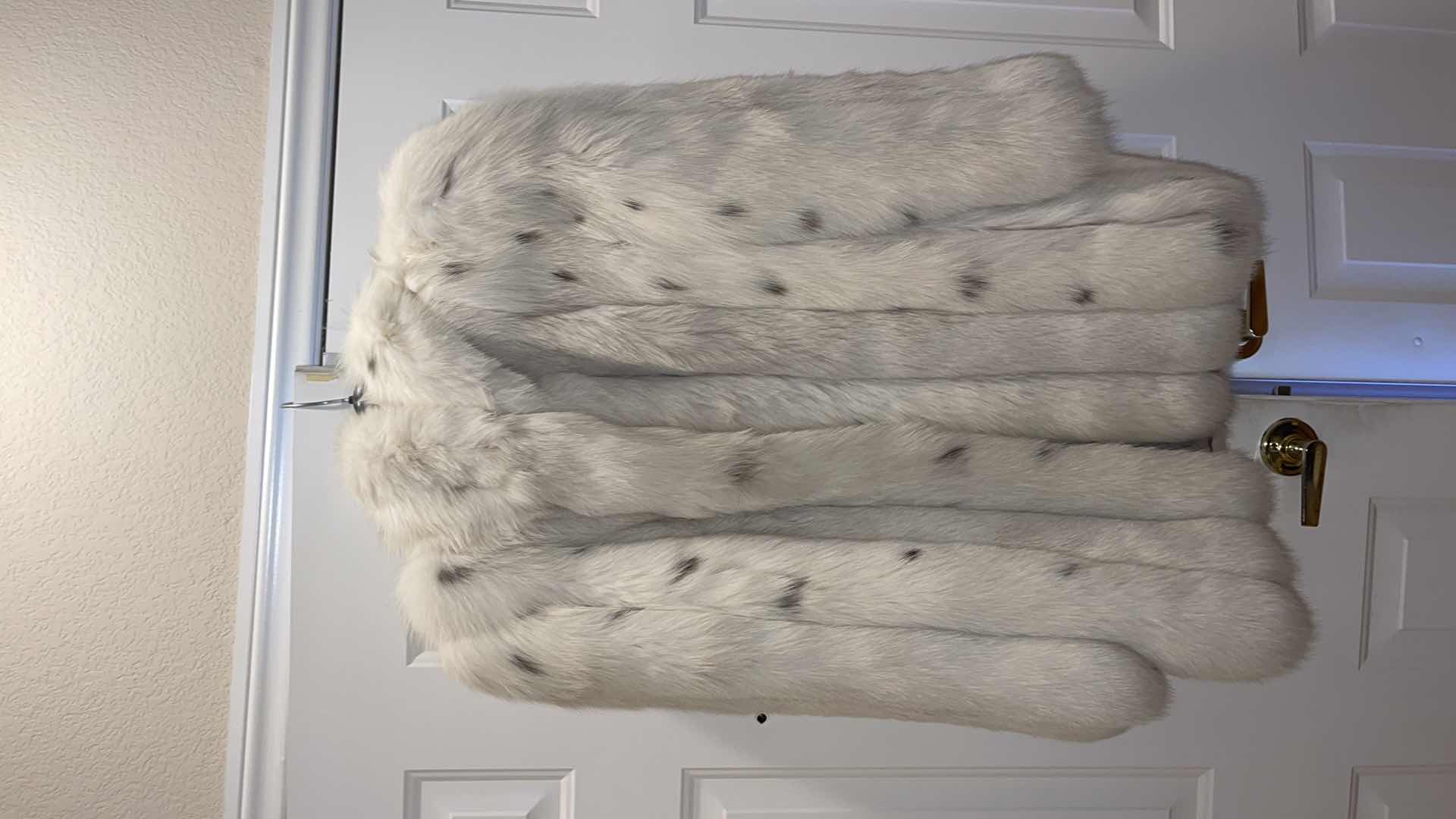 Photo 1 of SAGA FOX FUR COAT APPROX VALUE $700