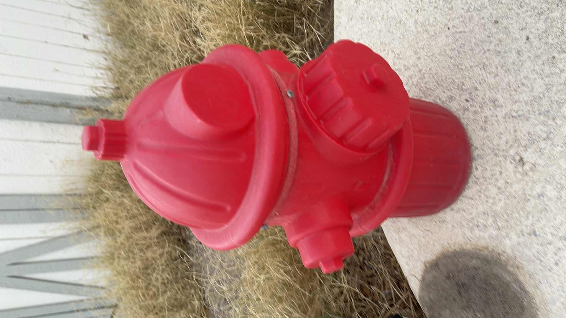 Photo 1 of DOG FIRE HYDRANT