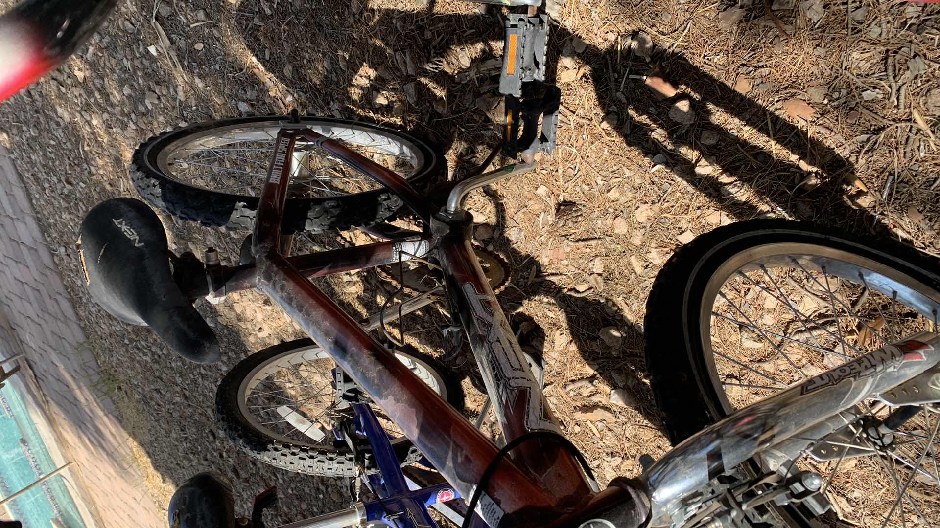 Photo 3 of KIDS BICYCLES