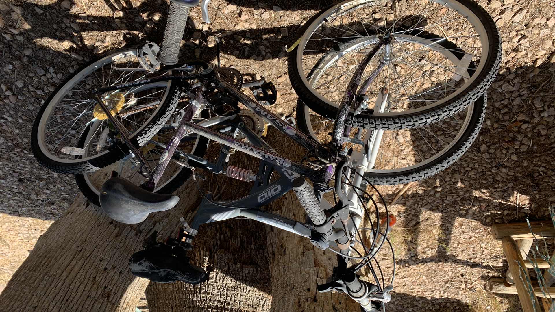 Photo 1 of 2-MOUNTAIN BIKES (SHOGUN & BAHAMA)