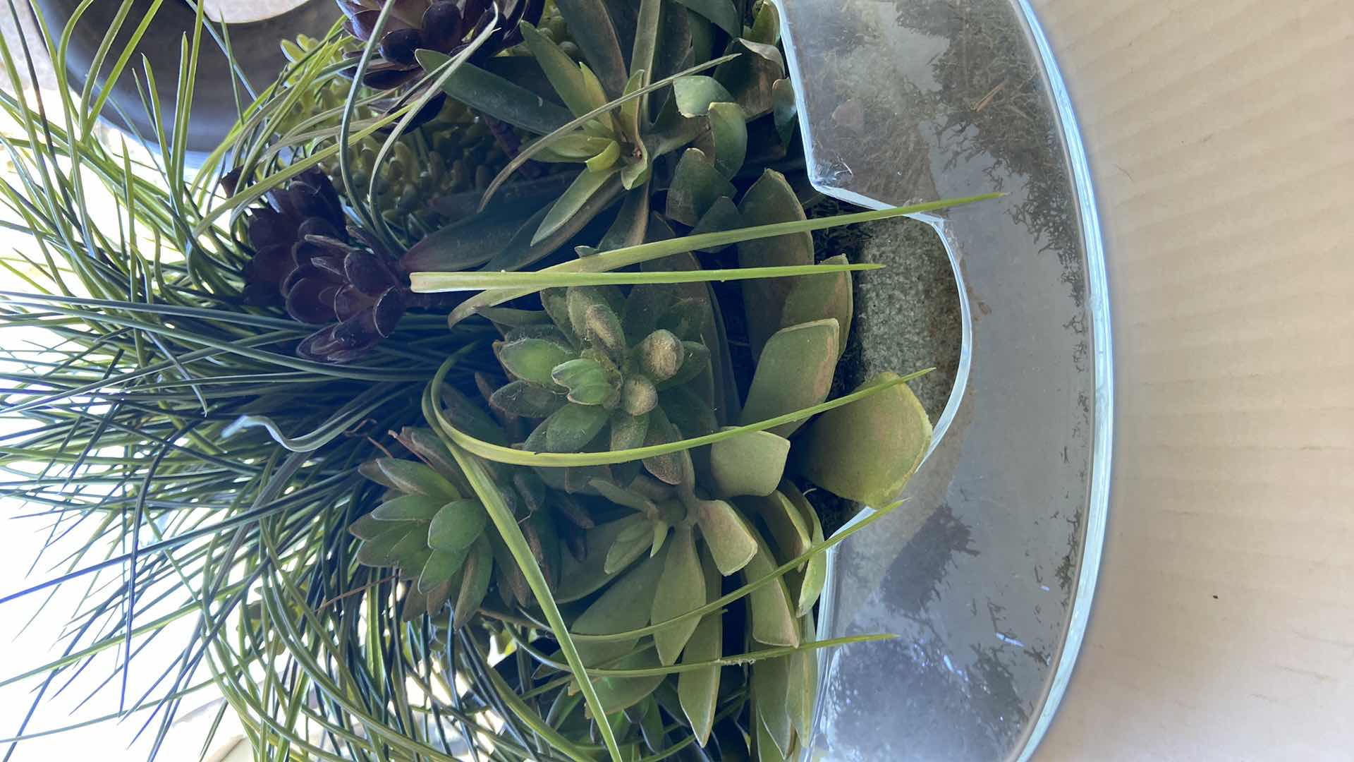 Photo 3 of GREENERY ARRANGEMENT IN GLASS BASE