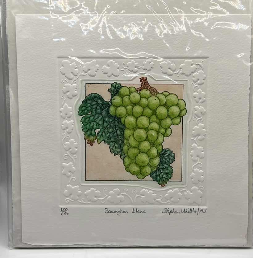 Photo 1 of ORIGINAL SIGNED AND NUMBERED PRINT - STEPHEN WHITTLE - SAUVIGNON   BLANC 7.5” x 7.5