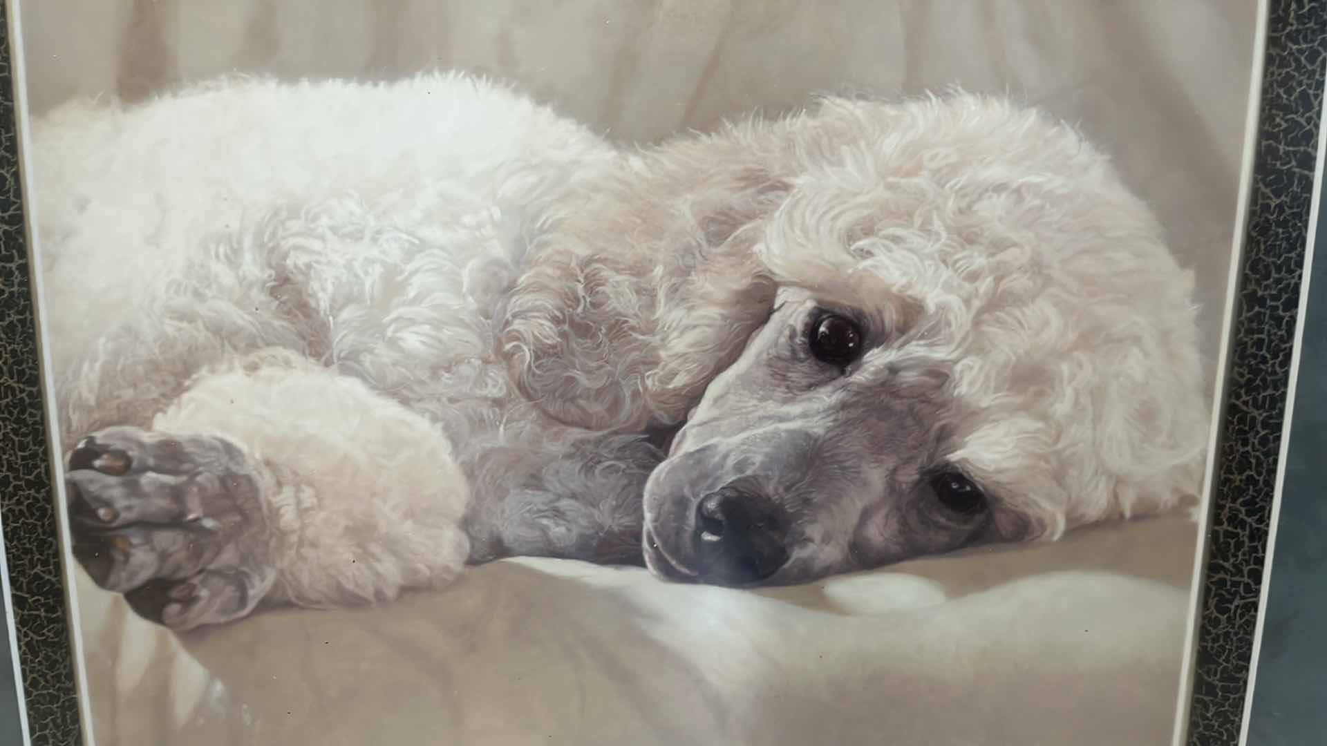 Photo 2 of SIGNED POODLE PRINT BY JOHN WEISS 81/1250, 22” x 20”