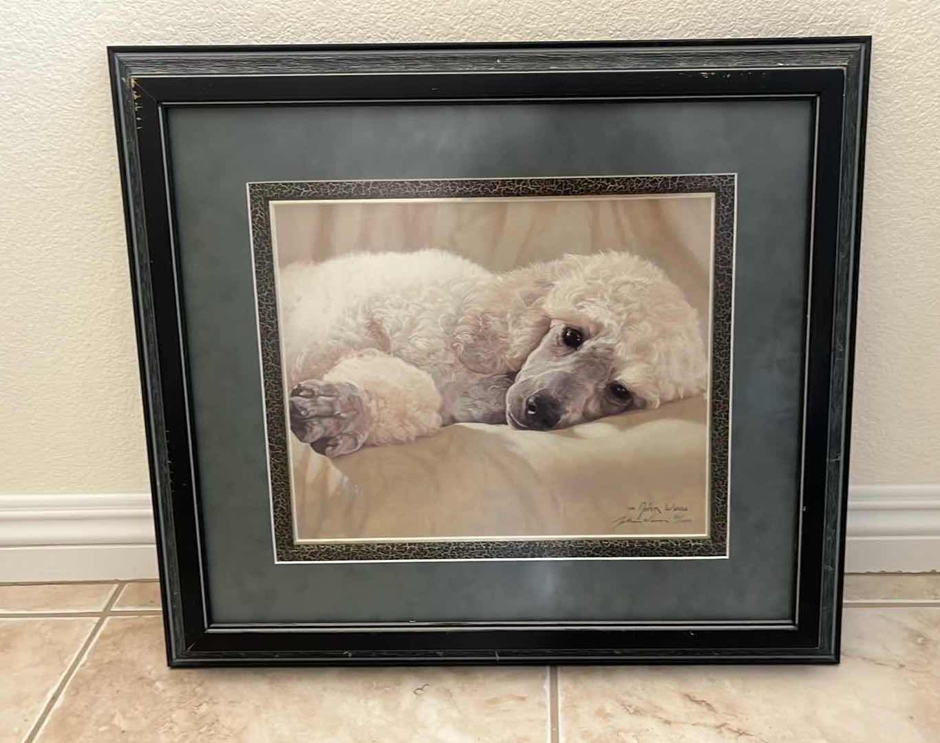 Photo 1 of SIGNED POODLE PRINT BY JOHN WEISS 81/1250, 22” x 20”