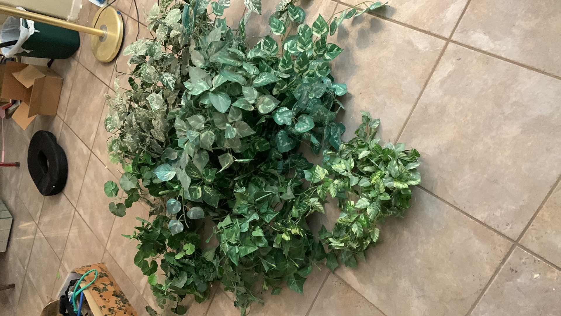 Photo 1 of FAUX PLANTS