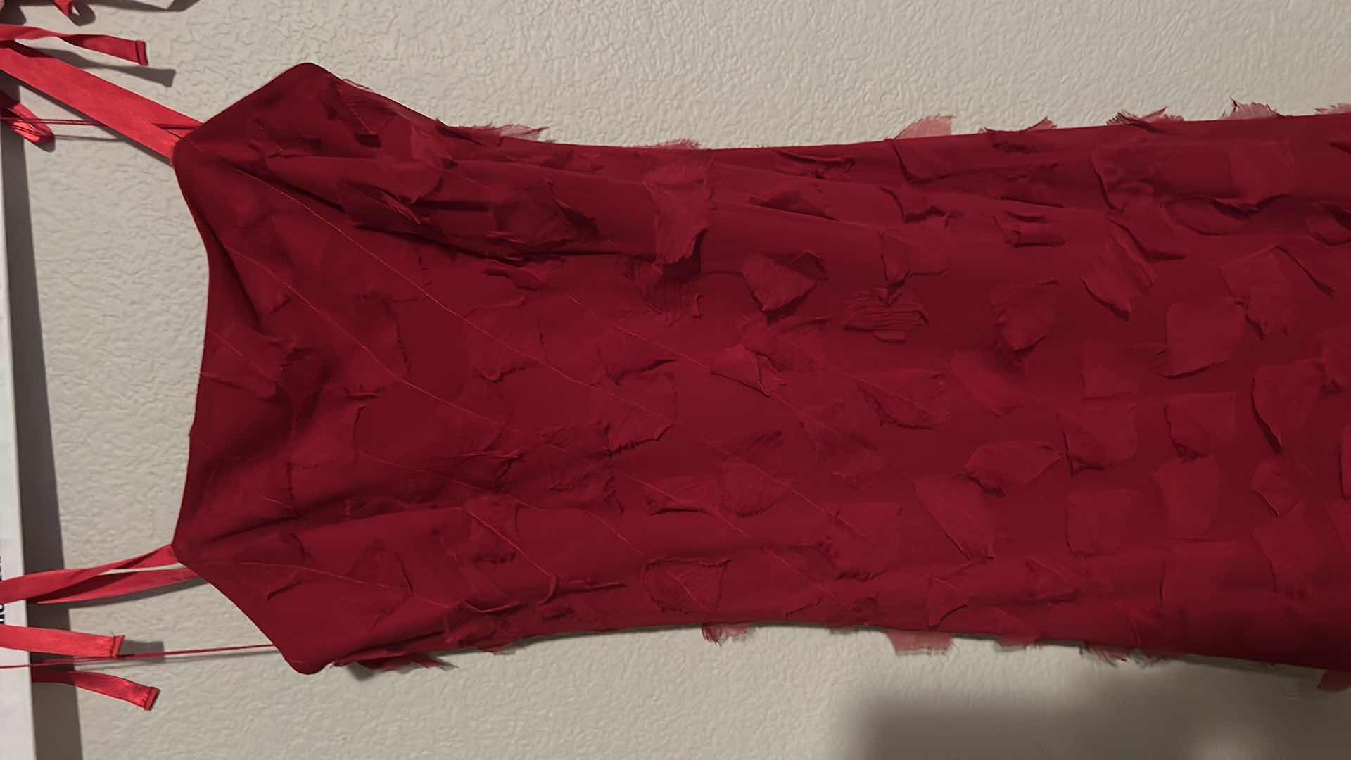 Photo 2 of ANNE KLEIN RED FORMAL LONG DRESS SIZE 4