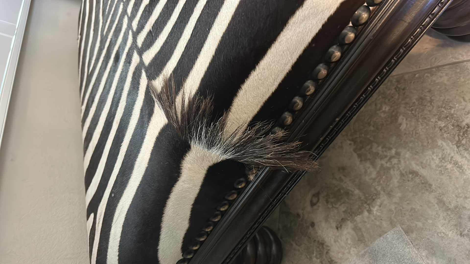 Photo 3 of REAL ZEBRA OTTOMAN/COCKTAIL TABLE 49” x 32” x 17”