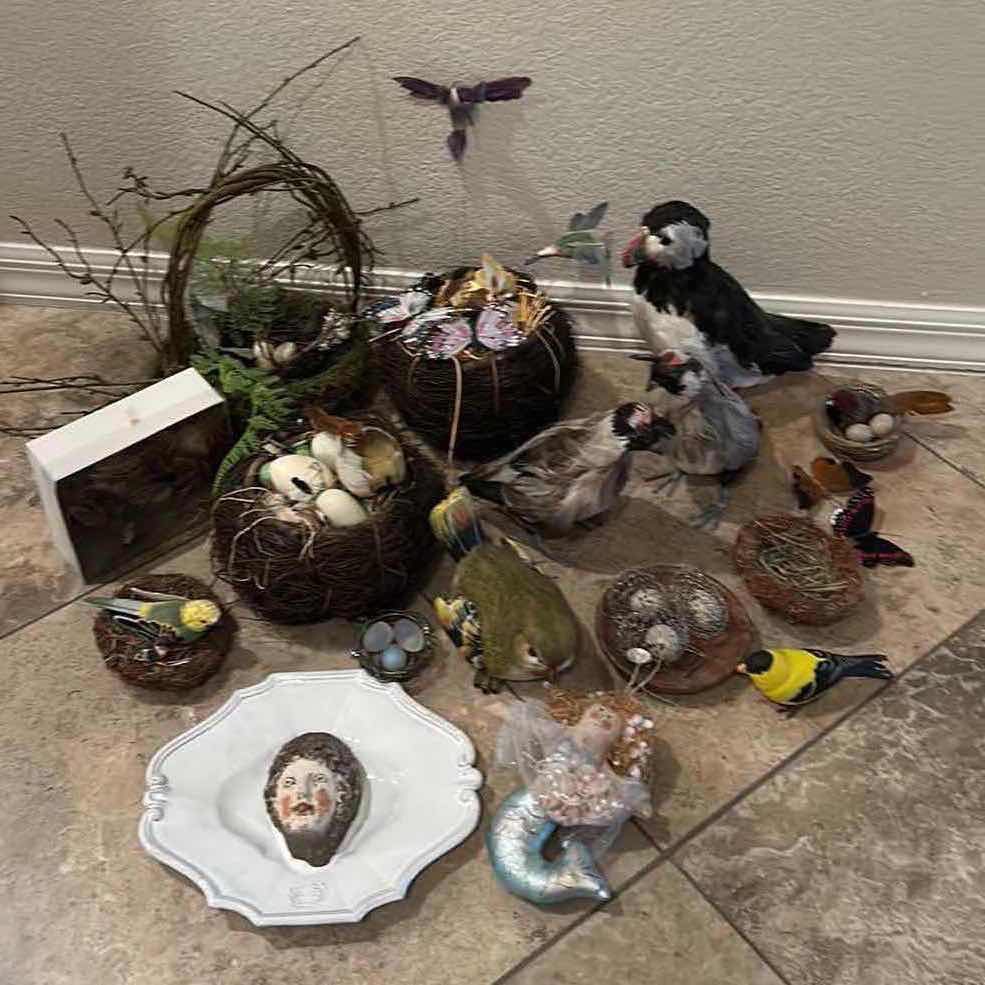 Photo 1 of HOME DECOR- BIRDS, BUTTERFLIES, NESTS AND MORE