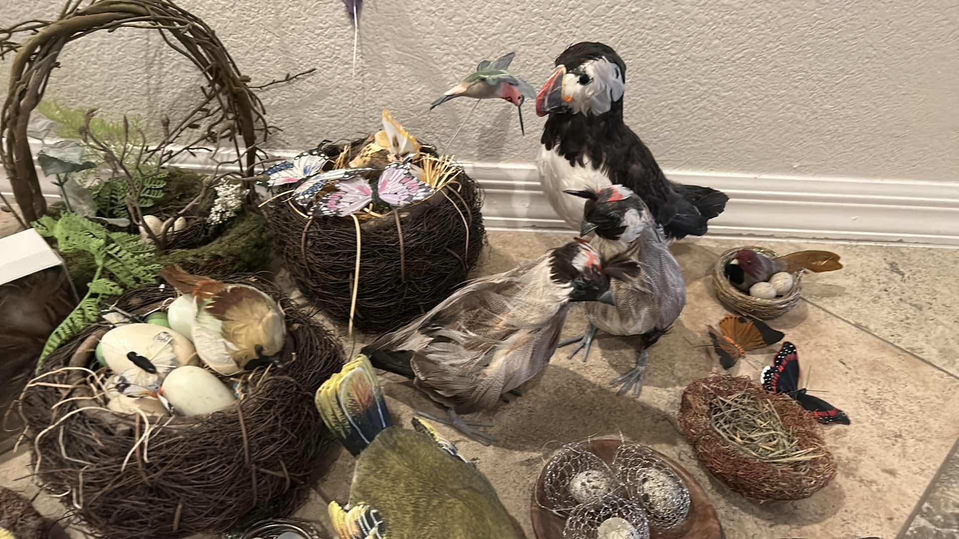 Photo 6 of HOME DECOR- BIRDS, BUTTERFLIES, NESTS AND MORE