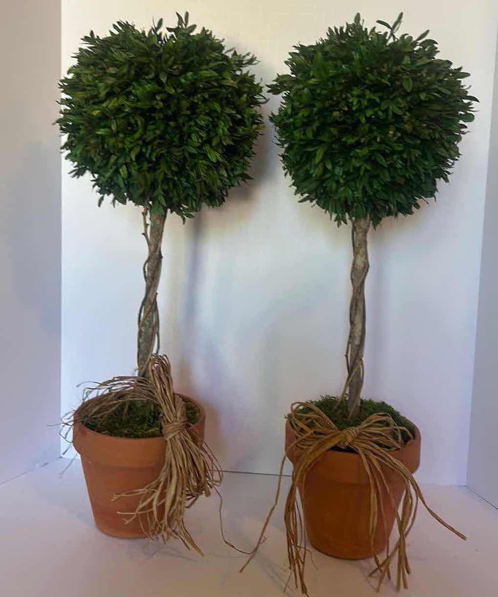 Photo 1 of 2 FAUX TOPIARIES H25”