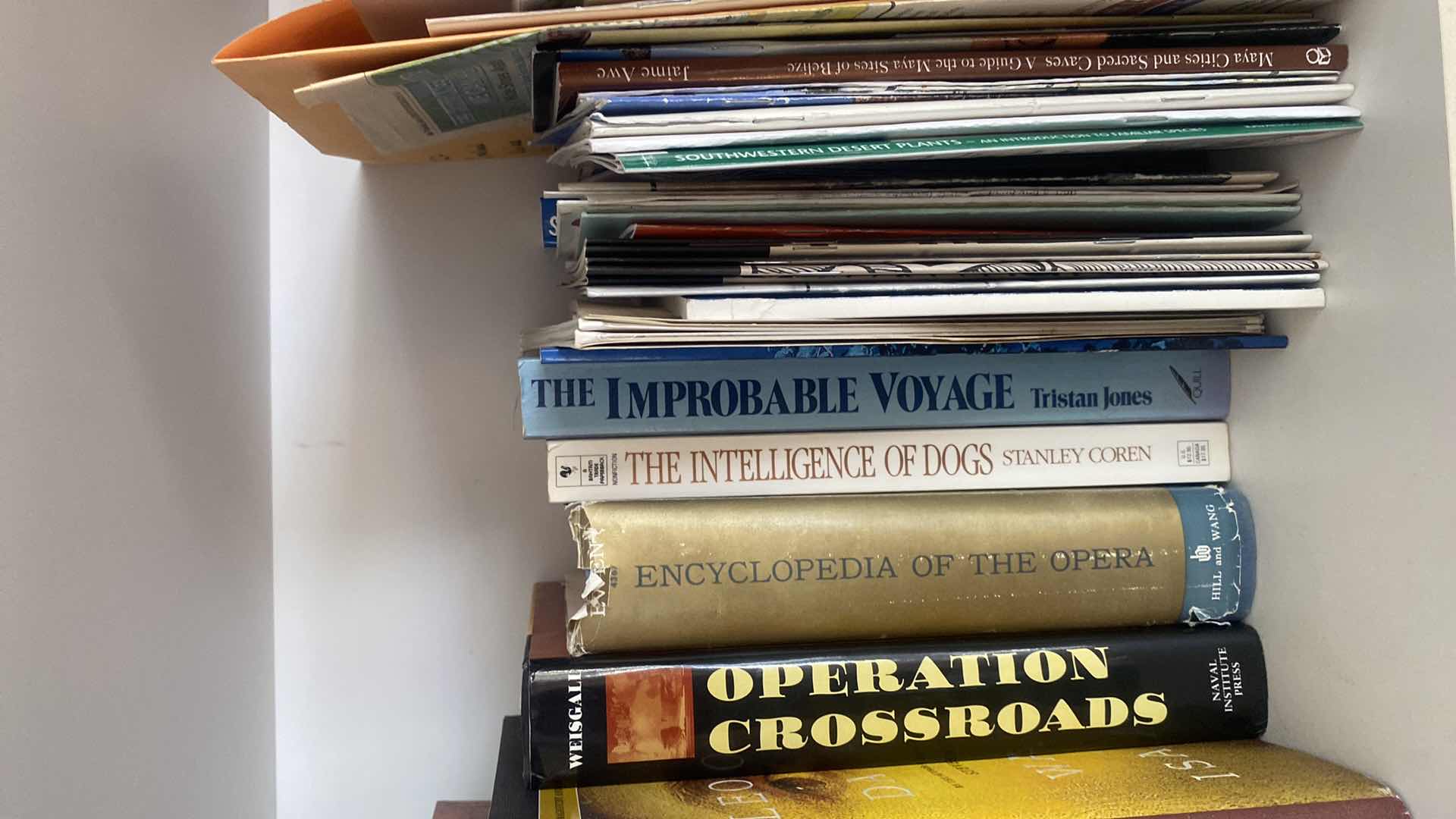 Photo 1 of 2 - SHELFS BOOKS