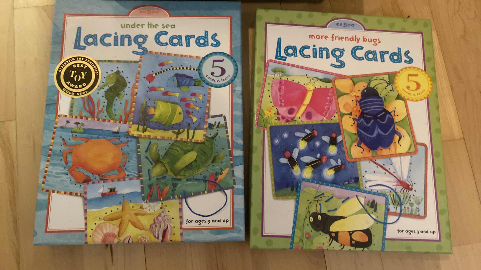 Photo 1 of LACING CARDS & BLOCKS