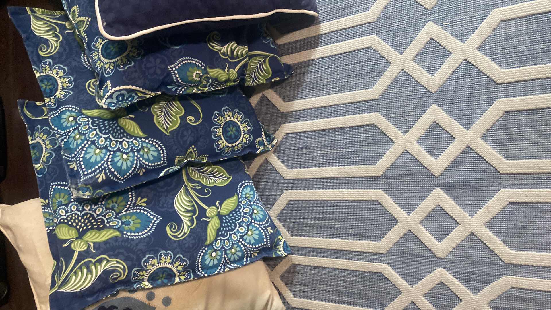 Photo 1 of 8-TOSS PILLOWS & OUTDOOR RUG 30” x 70”