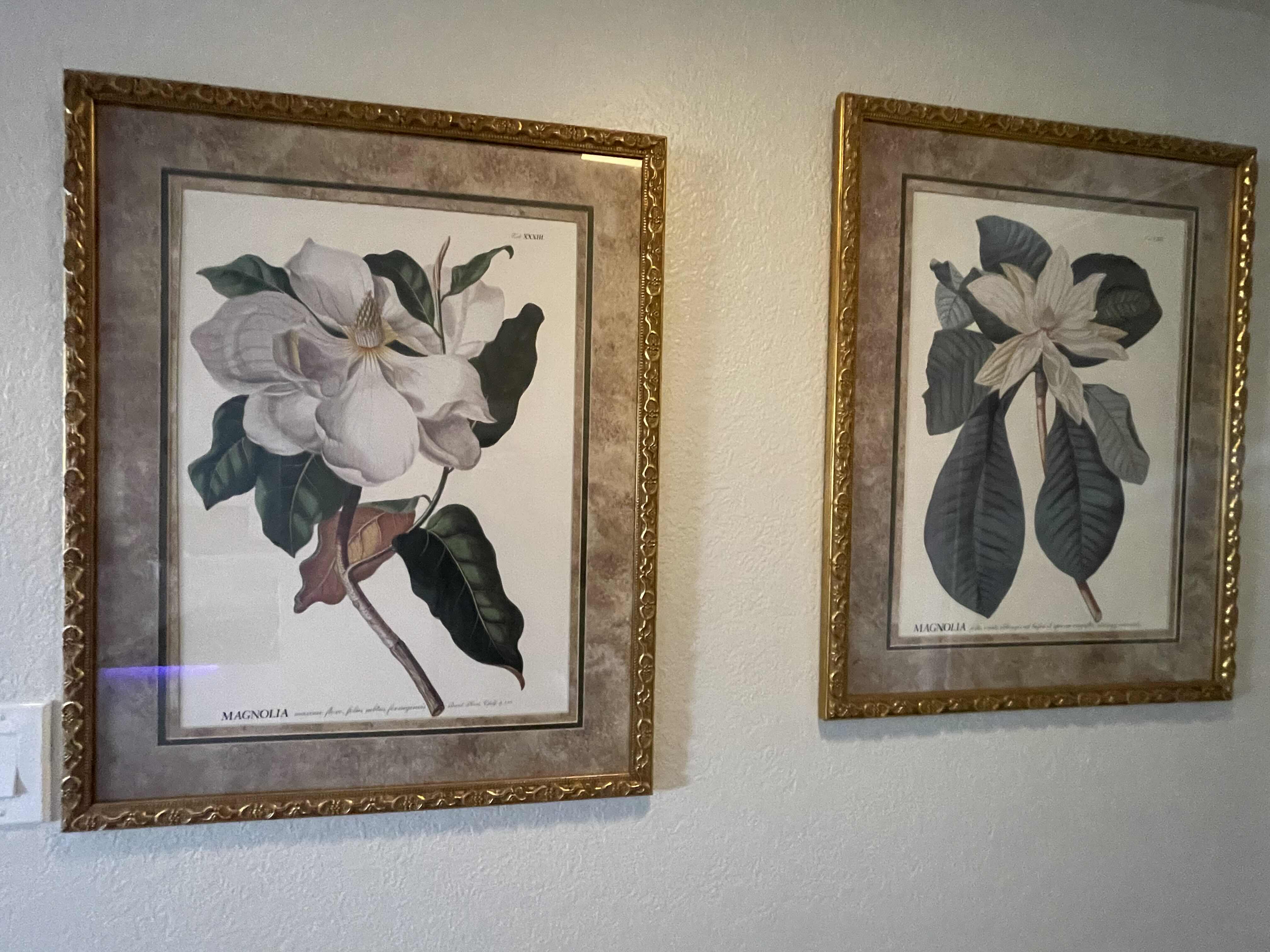 Photo 1 of DECROTIVE FRAMED PRINTS MAGNOLIAS 24”x39”