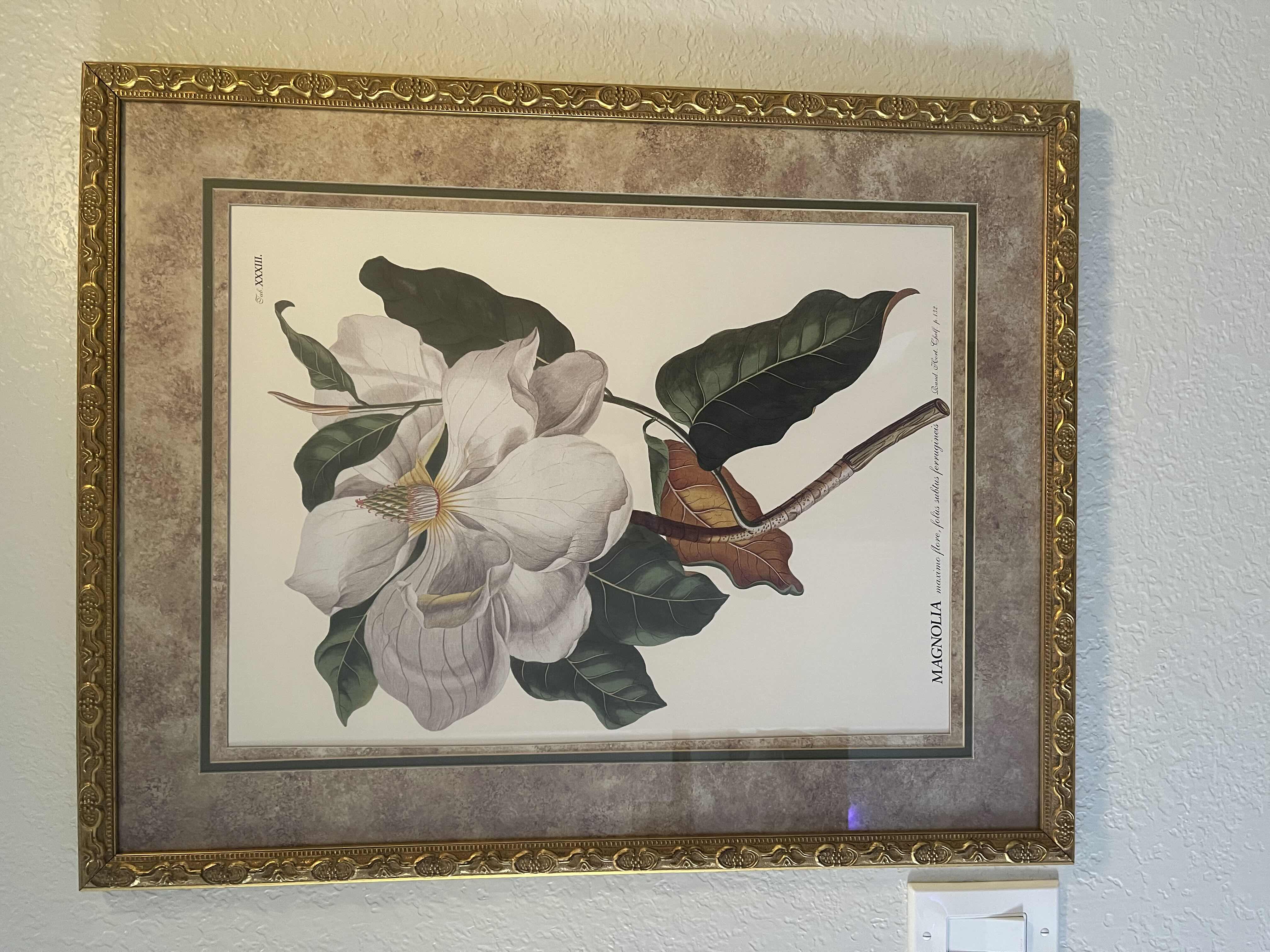 Photo 2 of DECROTIVE FRAMED PRINTS MAGNOLIAS 24”x39”