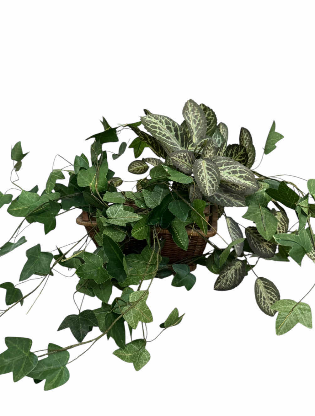 Photo 1 of 45
4- VINTAGE FAUX PLANTS, HOME DECOR, HOME ESSENTIALS. 

H22” AND SMALLER