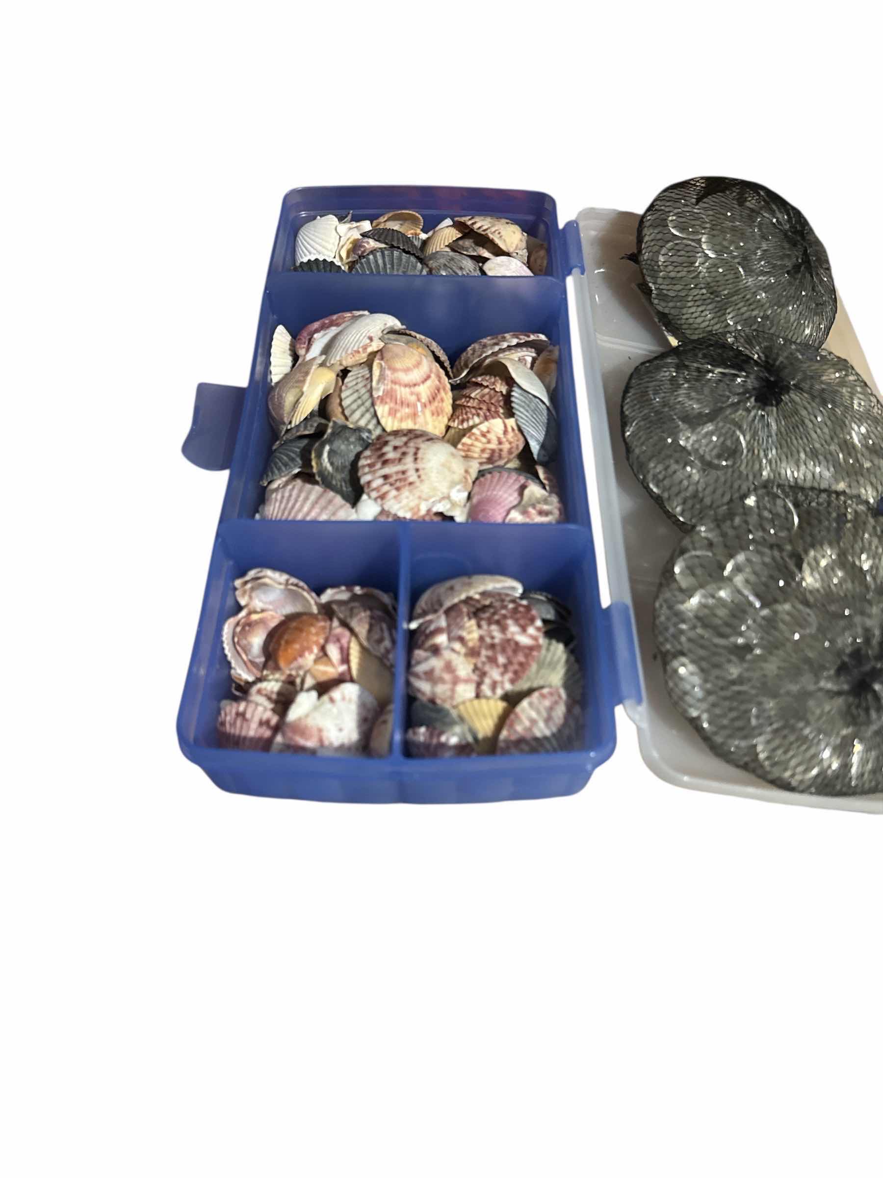 Photo 1 of GLASS BEADS, SHELLS, PEBBLES
