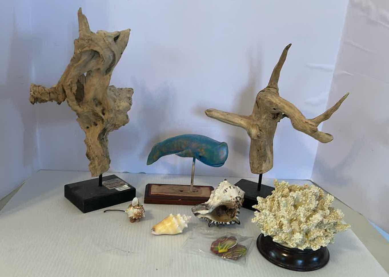 Photo 1 of ASSORTED DRIFT WOOD SHELLS