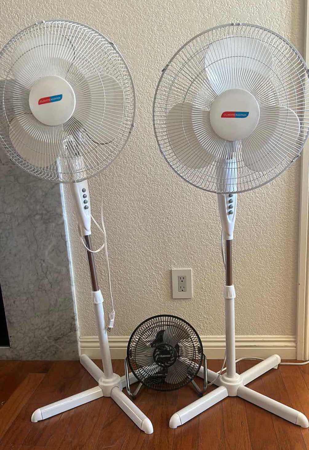Photo 1 of 3 FANS