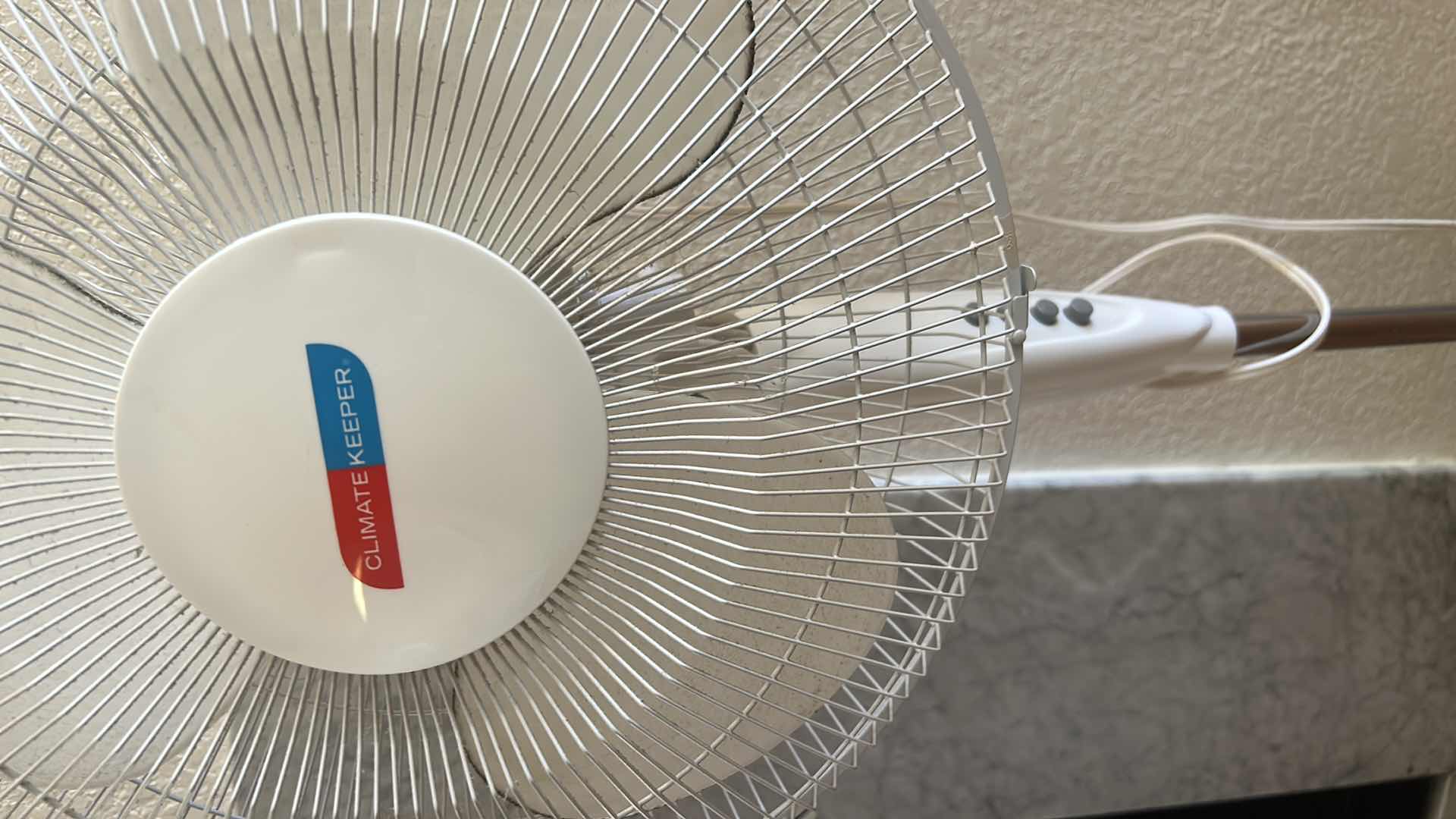 Photo 2 of 3 FANS