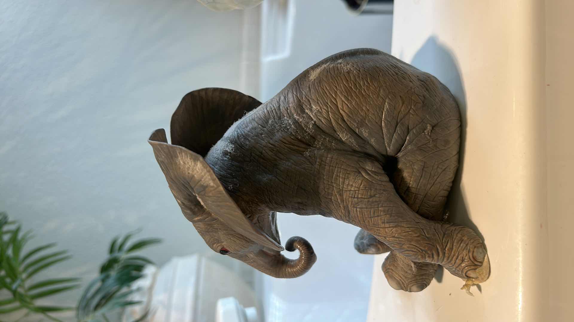 Photo 6 of ELEPHANT ASSORTMENT