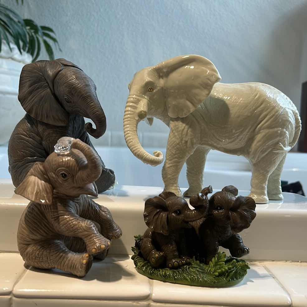 Photo 12 of ELEPHANT ASSORTMENT