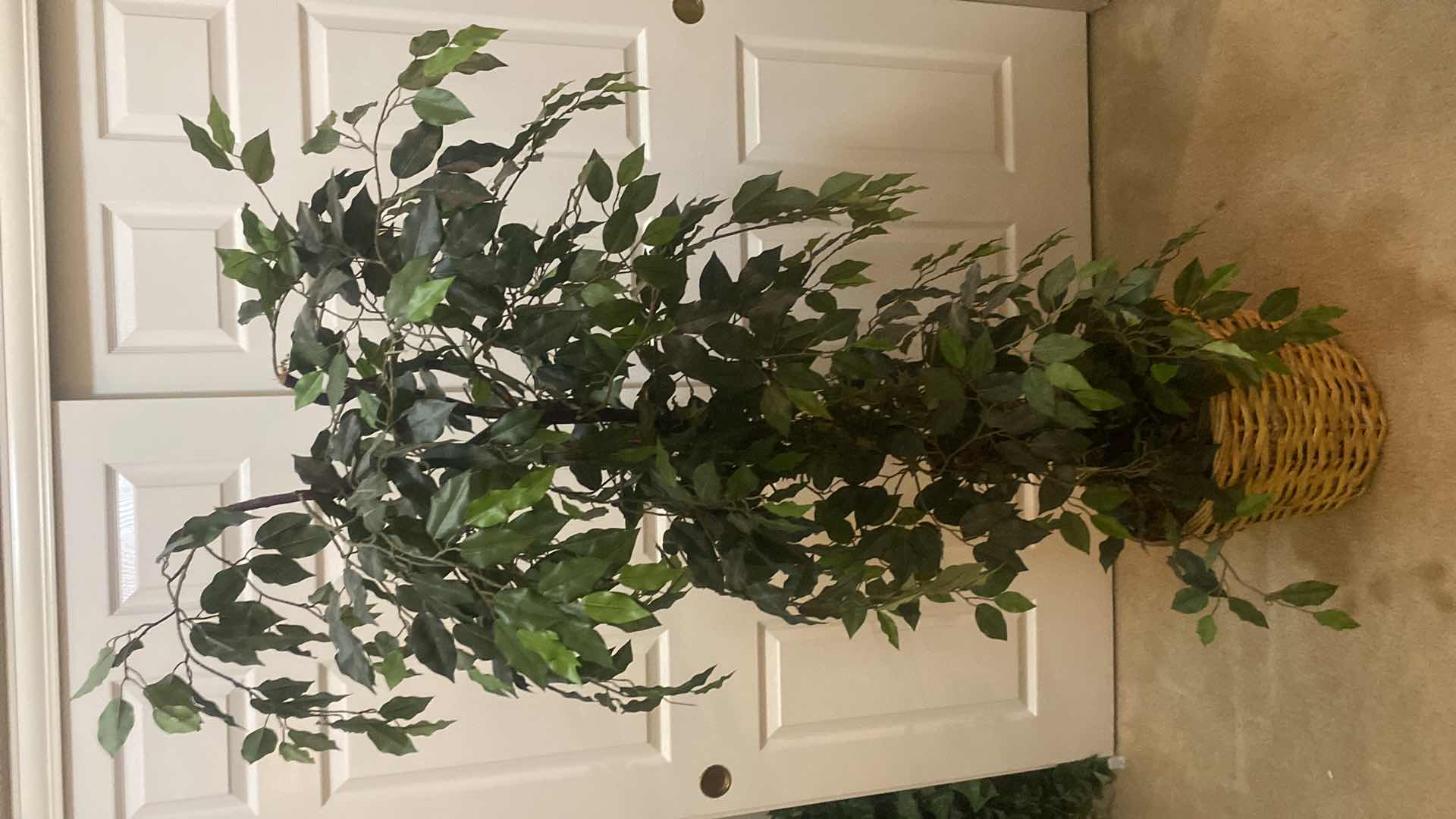 Photo 1 of FAUX FICUS TREE WITH BASKET H68”