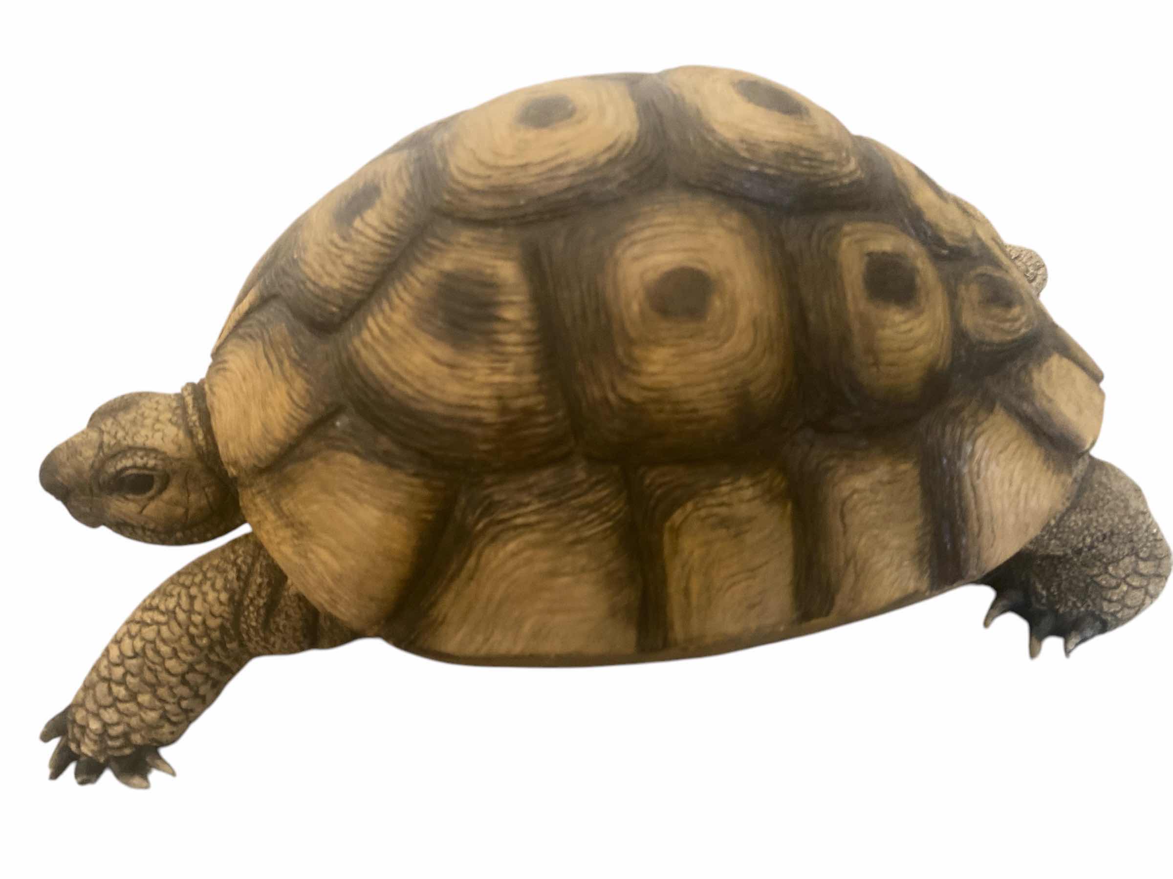 Photo 1 of HAND PAINTED  WOOD TORTOISE 7” x 12”