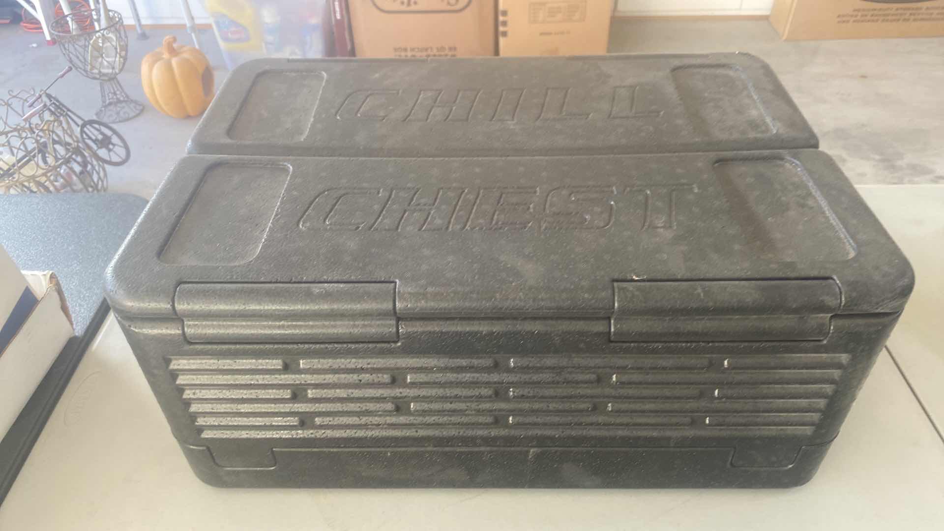 Photo 1 of STYROFOAM ICE CHEST & 4 INSULATED BAGS