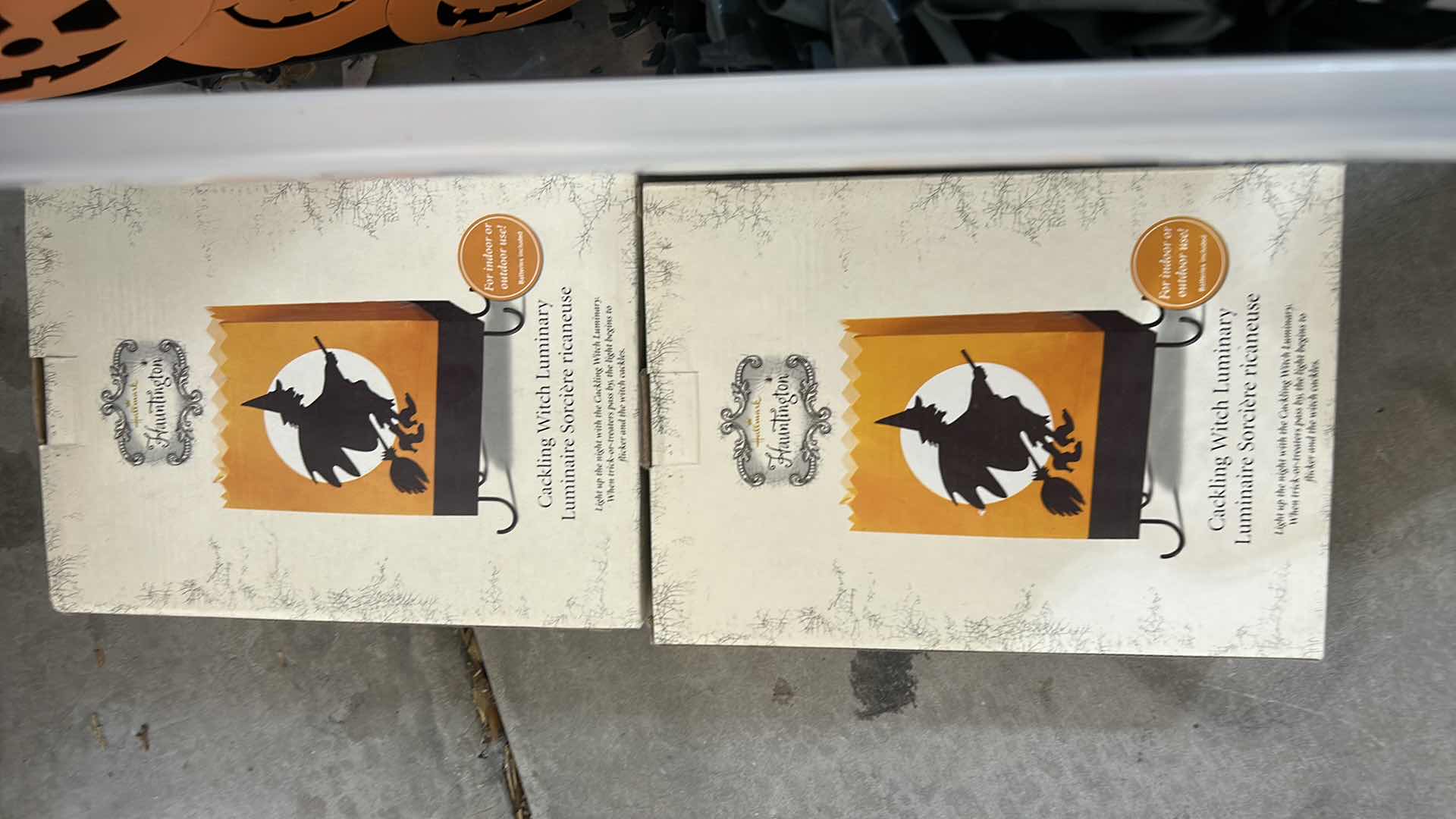 Photo 1 of TOTE OF HALLOWEEN DECOR