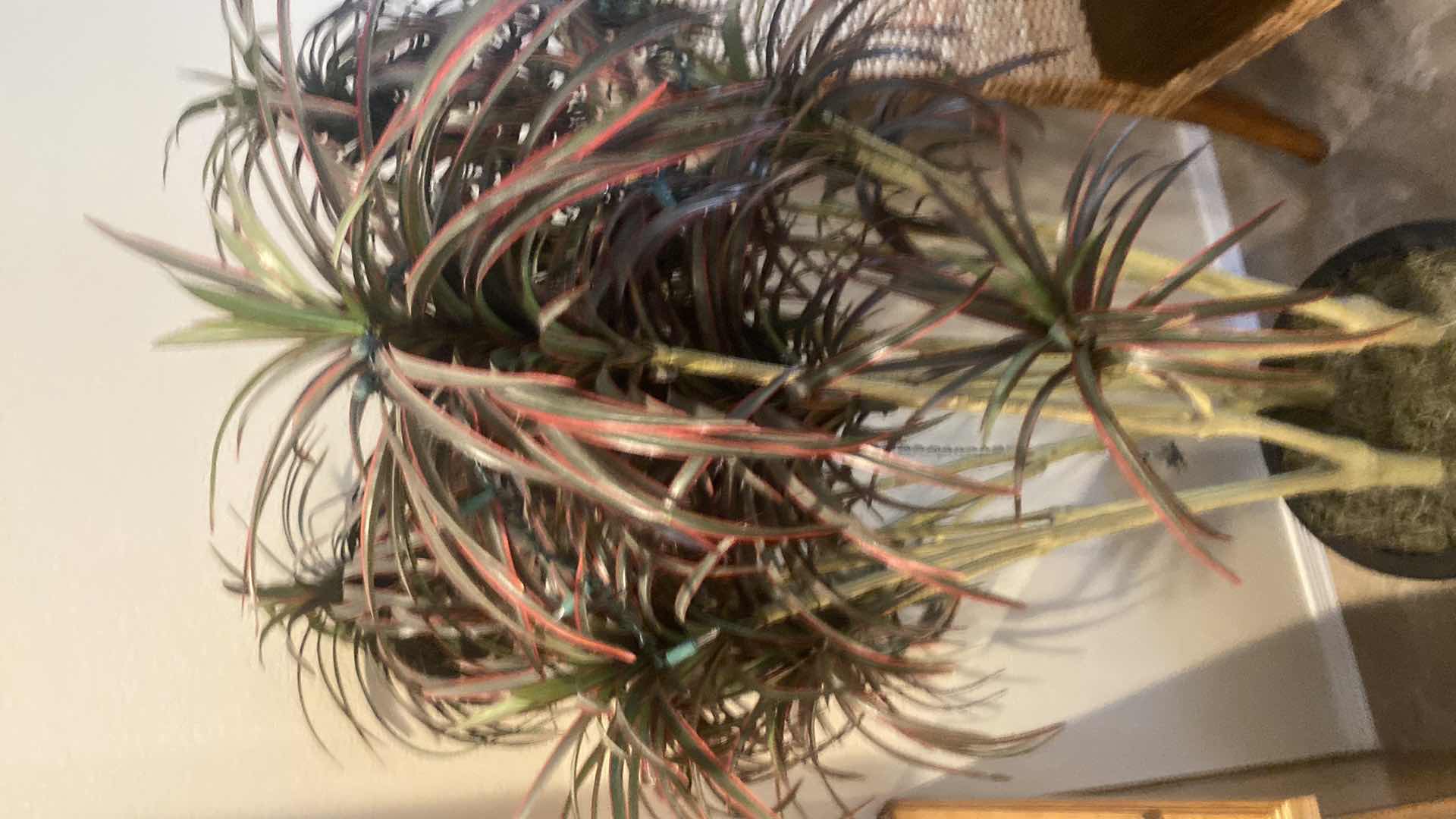 Photo 1 of FAUX TREE WITH LIGHTS H62”