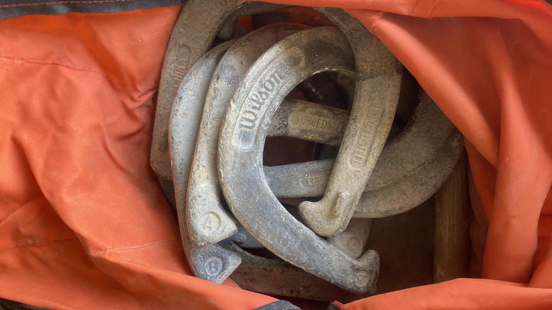 Photo 1 of WILSON HORSE SHOES